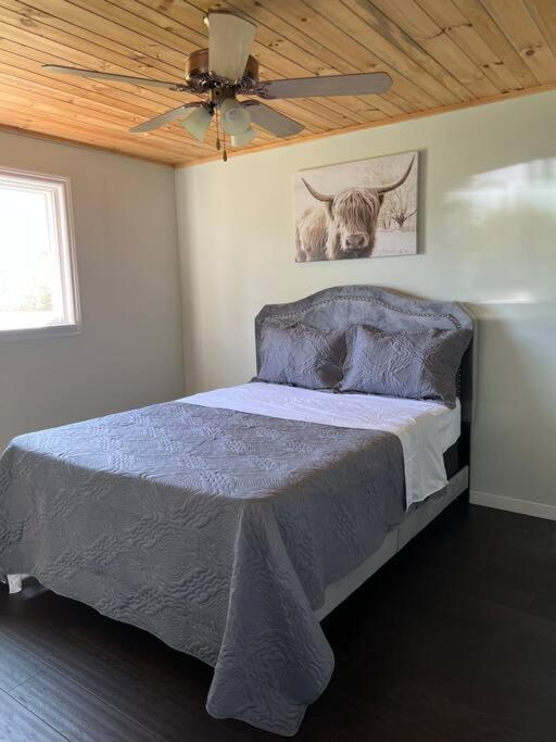 Family Friendly Cottage ☆Walking Distance To Beach Lions Head Ngoại thất bức ảnh