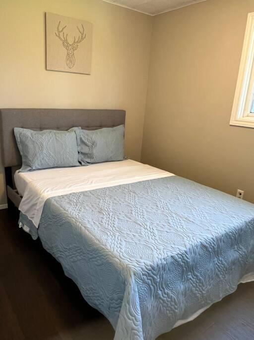Family Friendly Cottage ☆Walking Distance To Beach Lions Head Ngoại thất bức ảnh
